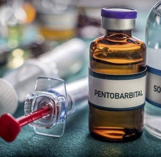 En este momento estás viendo Pentobarbital: 5 Slimme Stappen voor Zorgeloze Aankoop